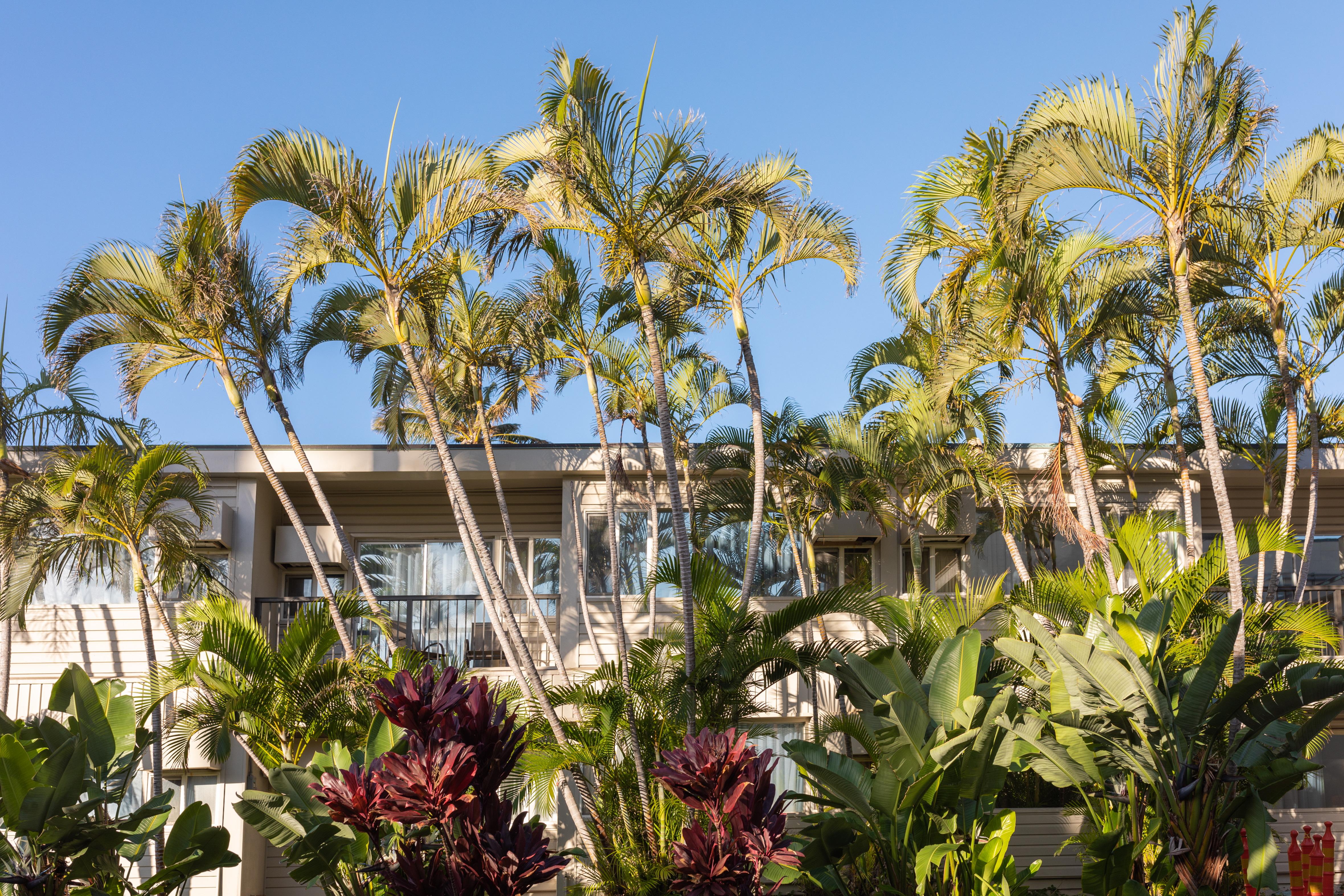 Maui Beach Hotel Kahului Kültér fotó