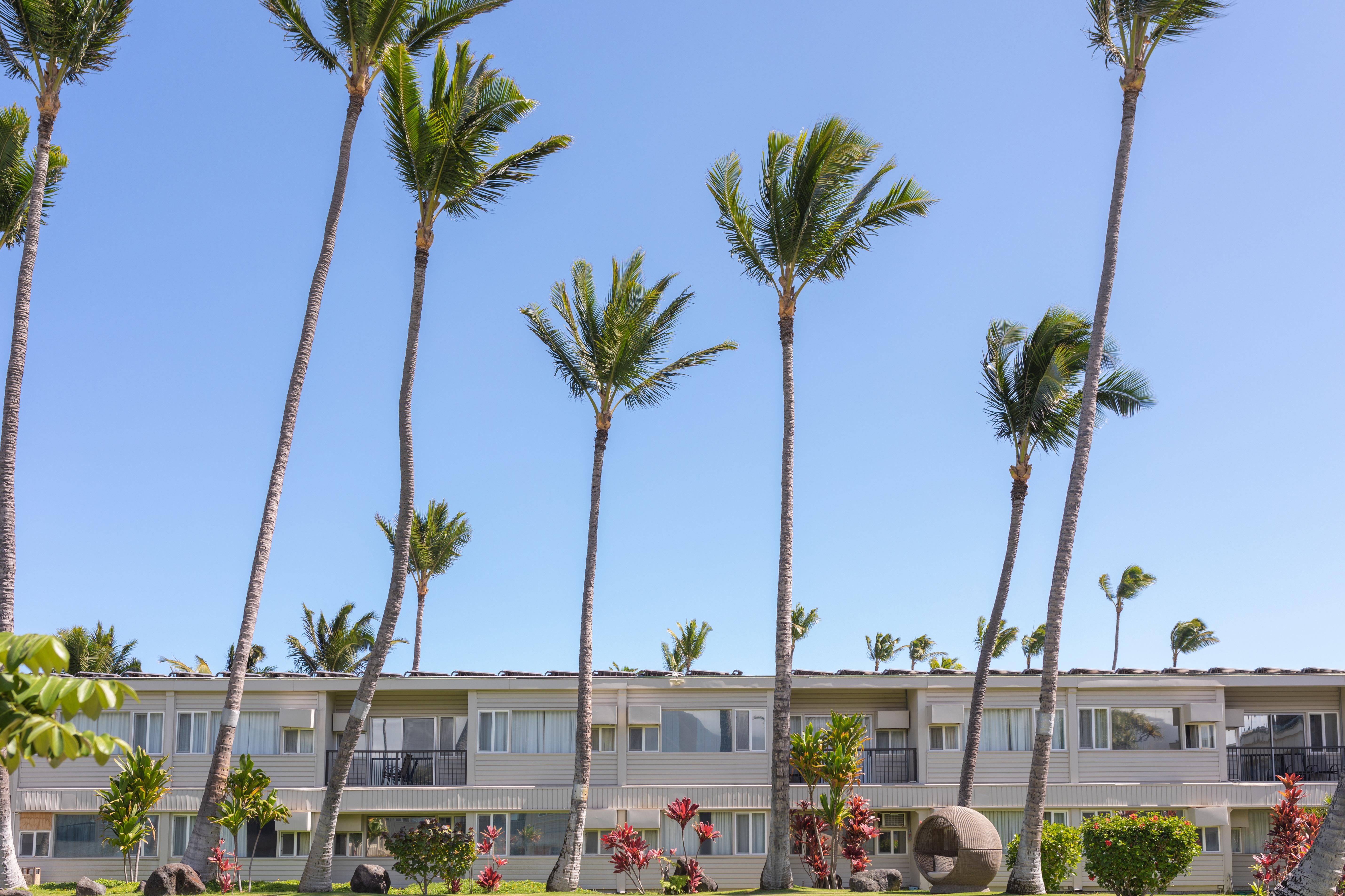 Maui Beach Hotel Kahului Kültér fotó