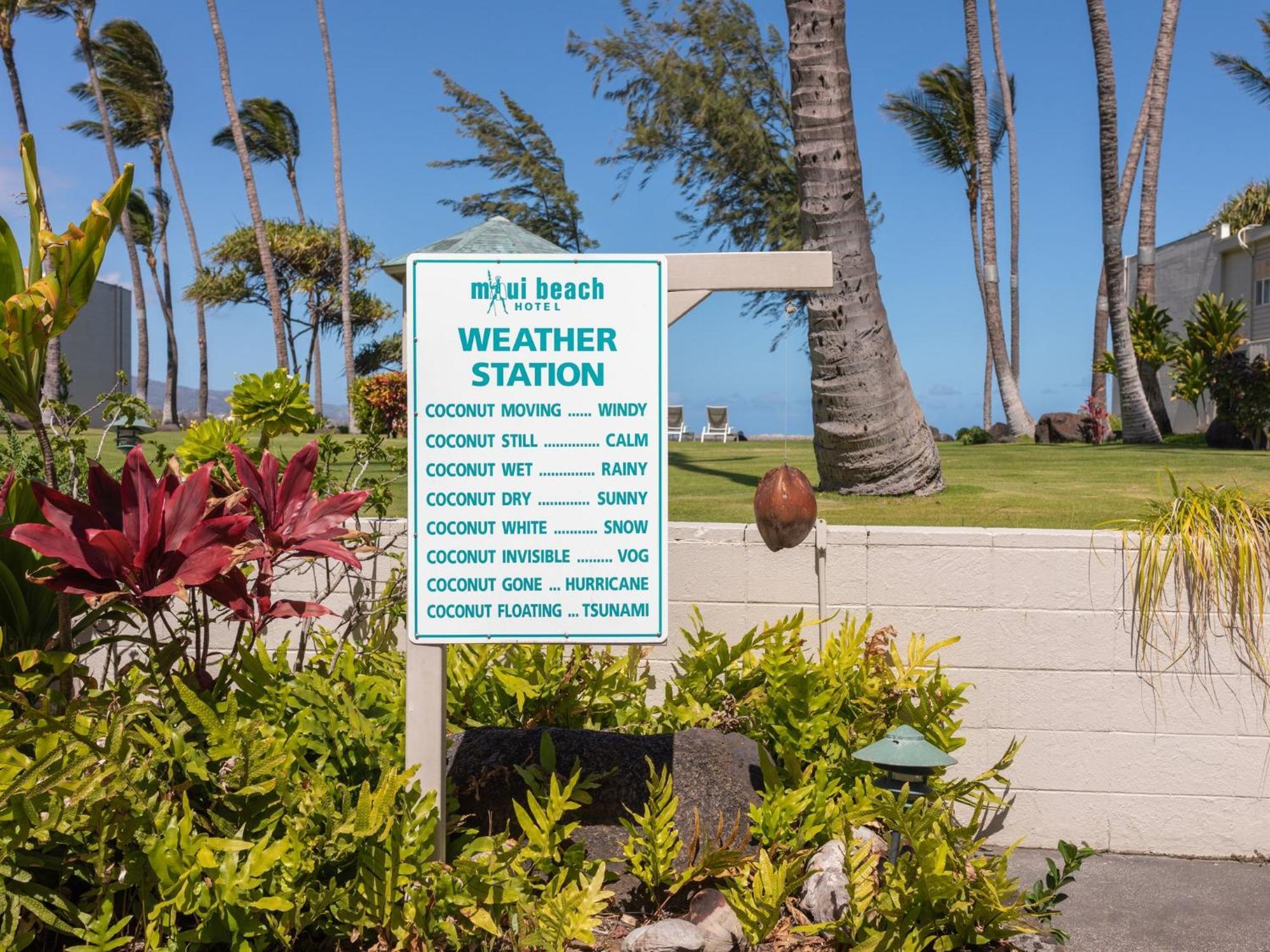 Maui Beach Hotel Kahului Kültér fotó